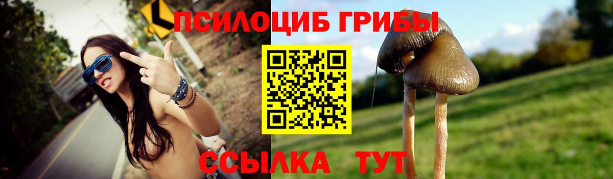 Галлюциногенные грибы Psilocybine cubensis Магнитогорск